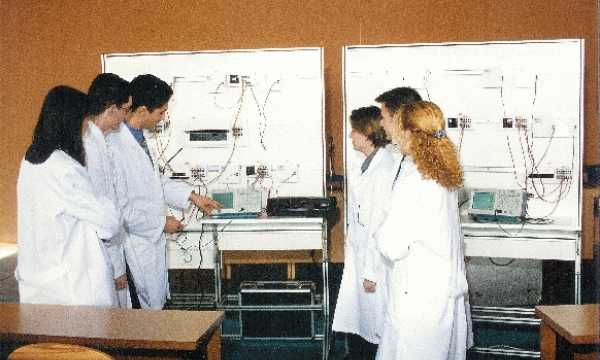 2000. Diseño y desarrollo de equipos didácticos para la reforma educativa de la familia Electricidad y electrónica.