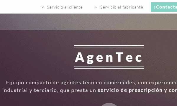 AgenTec, agentes técnicos